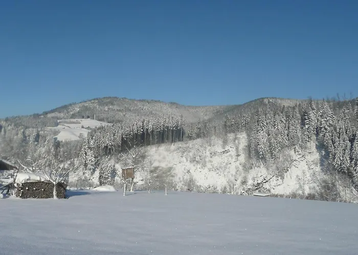 Sackmanns Wanderhotel Löwen Baiersbronn