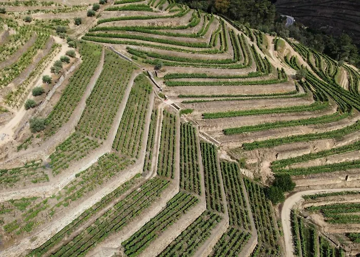 Dois Lagares House & Winery Acomodação com café da manhã Pinhão