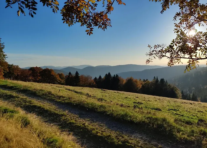 Influences La Bresse
