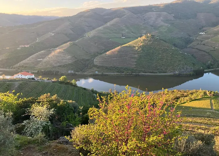 Plácido Hotel Douro - Tabuaço