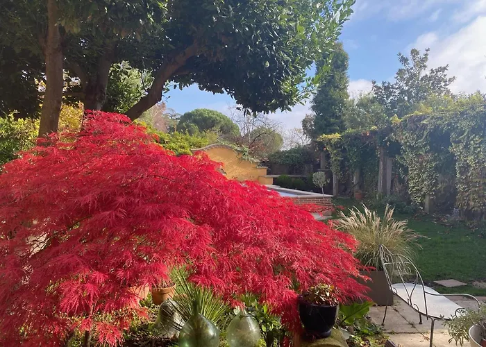 Le Rez de Jardin Albi