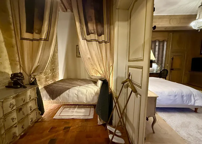 Bed and Breakfast Demeure des Vieux Bains à Provins