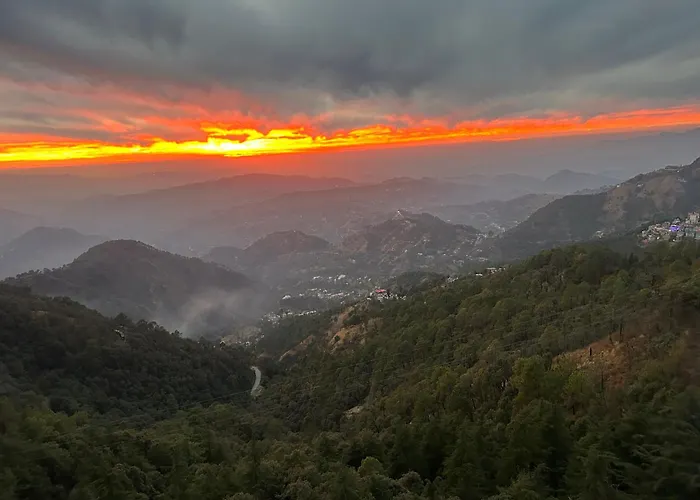 Pine Ville Shimla