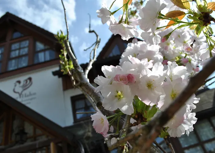 B&B Apart Hotel Goldener Hahn - Hygge Pool&Sauna Baiersbronn