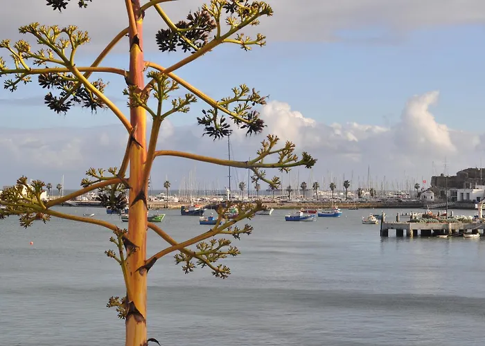 Bed and Breakfast Manelisa Cascais