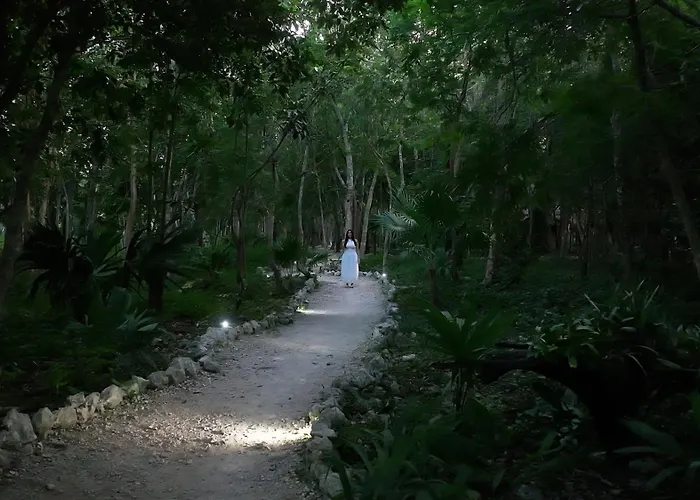 Akumal Natura Glamping