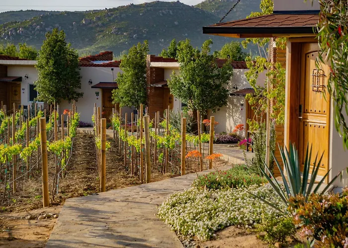 Ojo Azul Resort Valle de Guadalupe
