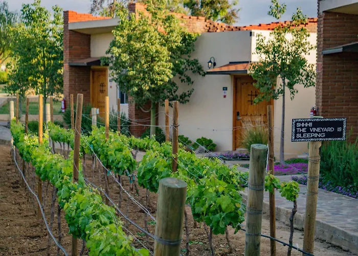 Ojo Azul Resort Valle de Guadalupe