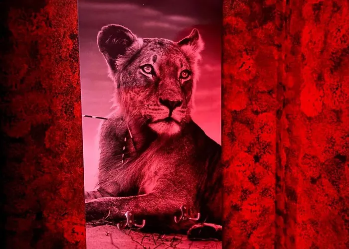 L'H Lion'S Red Suite