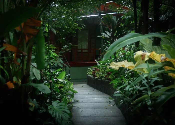 Jaguarundi Jungle Lodge - Monteverde