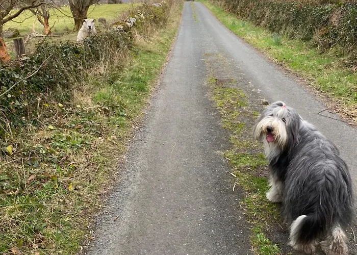 Coastal Living Wild Atlantic Way - Near Strandhill