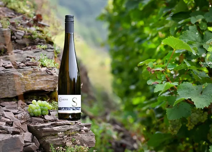 Weingut Clemens Hotel Ellenz-Poltersdorf