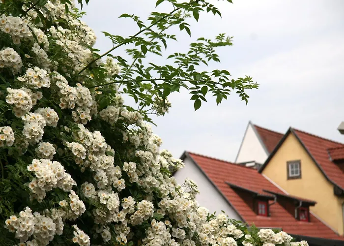 Pension Am Dom Erfurt