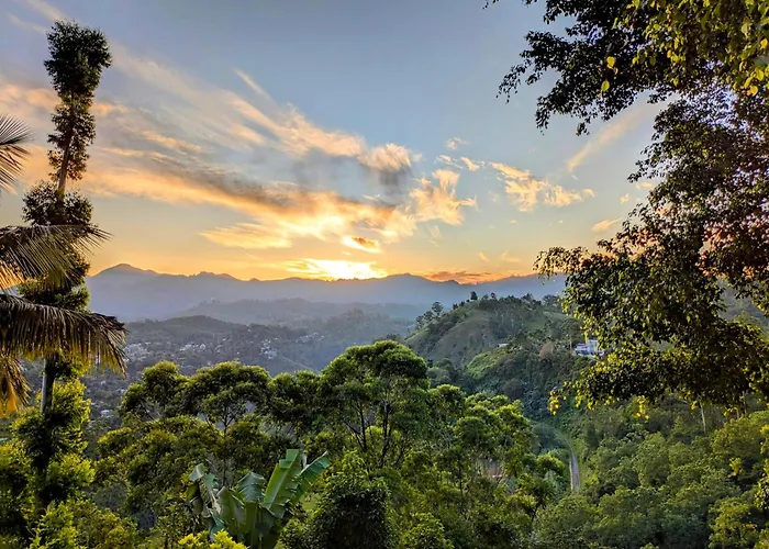 Royal Mount Ella