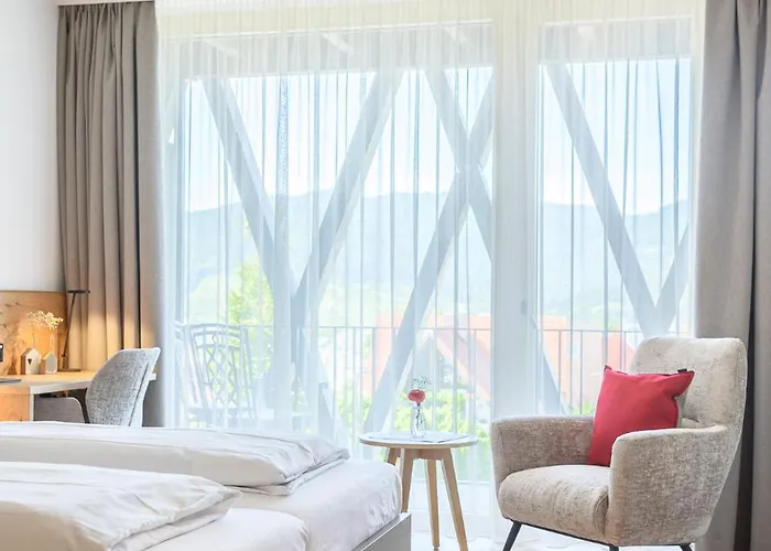 Hotel Die Alm Oberkirch 