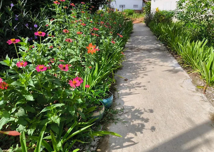 Dok Champa Resort