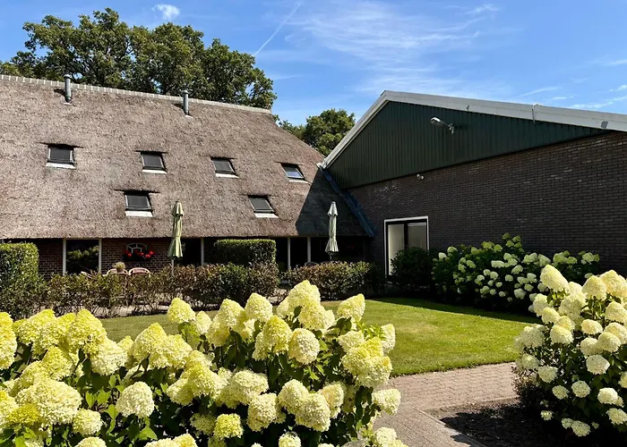 De Veurdeale Havelte