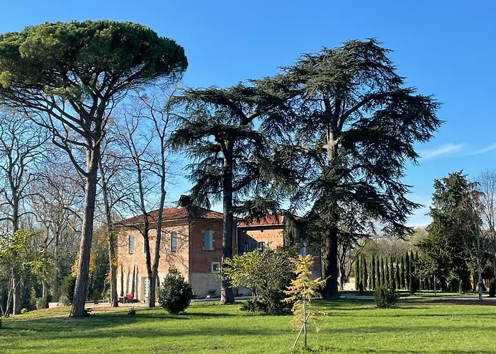 Chateau Du Go Albi
