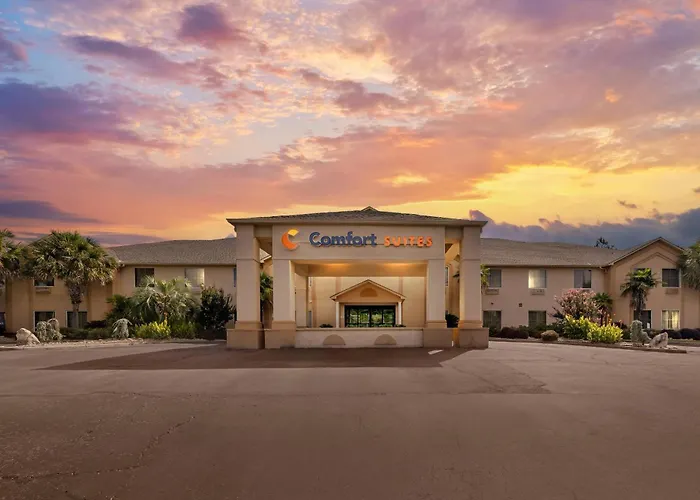 Comfort Suites Milledgeville