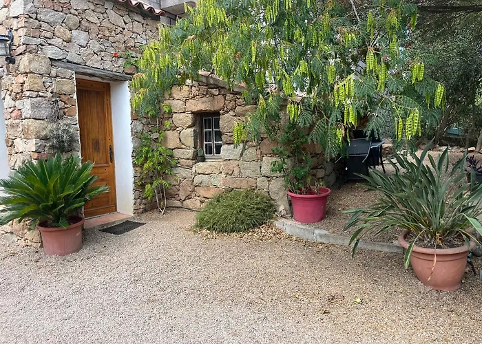 Caseddu Di Chjarastella