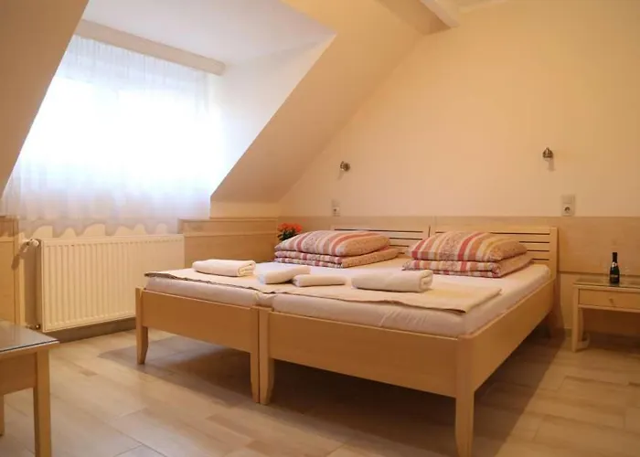 Hotel Peterfia Panzio Debrecen