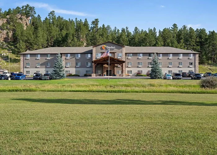 Comfort Inn & Suites Custer
