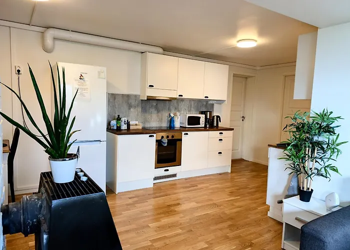 Aurora Rooms In Shared Apartment Nr1 We Are Doing Privet Northen Light Trip, Reindeer Trip And Sommaroy Fjord Trip Tromsø