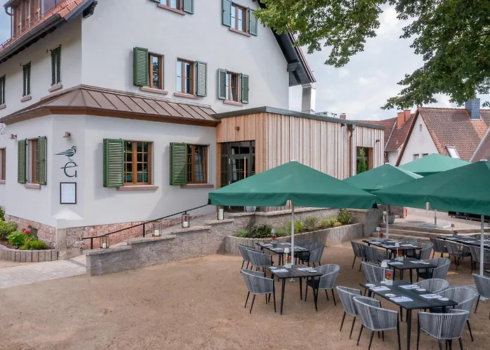Goldammer Aschaffenburg