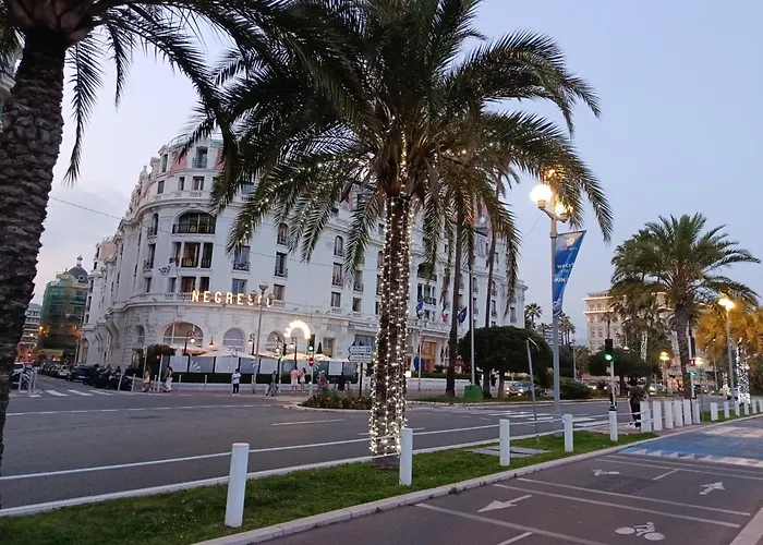 Nice Chambre Exclusive Dans 2 Pieces 40 M2 Atypique Original Dans Grande Structure Type Appartement D'Hote 80 M2 200 M Mer Promenade Des Anglais Sejour Chez L'Habitant