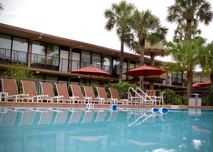 Magic Tree Resort