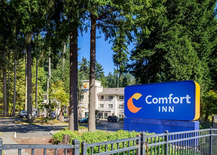 Comfort Inn Lacey - Olympia