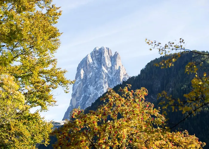 Hotel La Pineta Selva di Val Gardena
