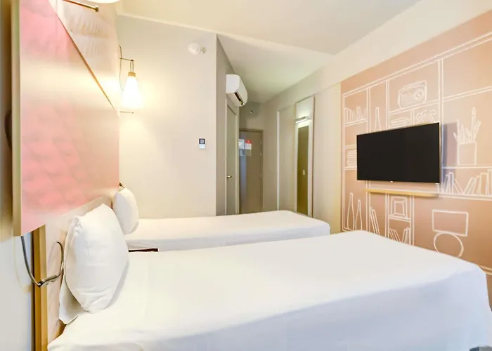 Ibis Paranaguá