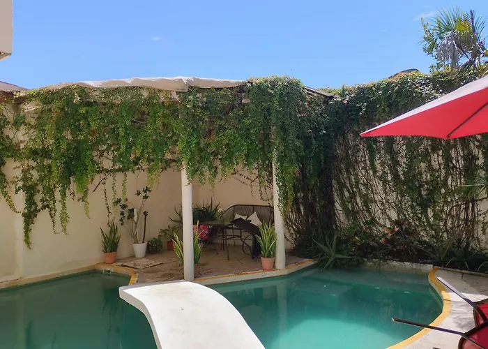 Bed And Breakfast Pecari Cancún