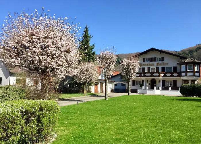 Hotel Gasthaus Adler Glottertal