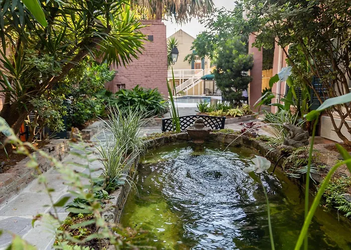 Lamothe House Hotel A French Quarter Guest Houses Property