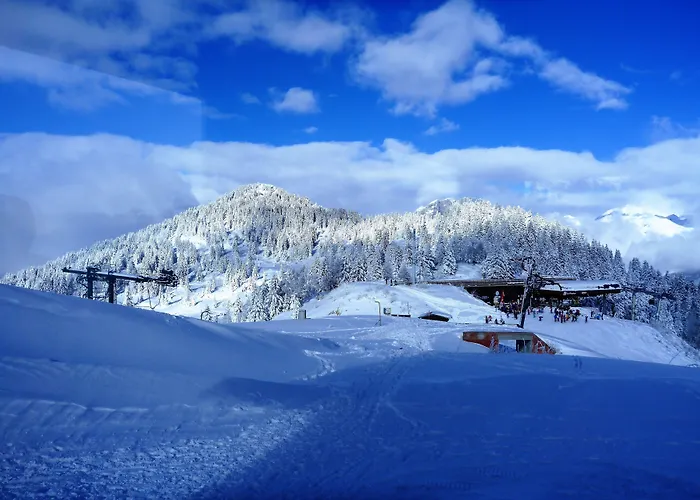 Chalet Hôtel du Bois Les Houches
