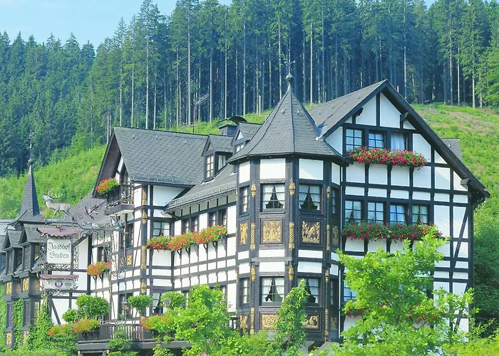 Hotel Jagdhof Glashütte Bad Laasphe