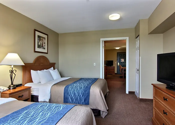 Spark By Hilton St. Augustine I 95