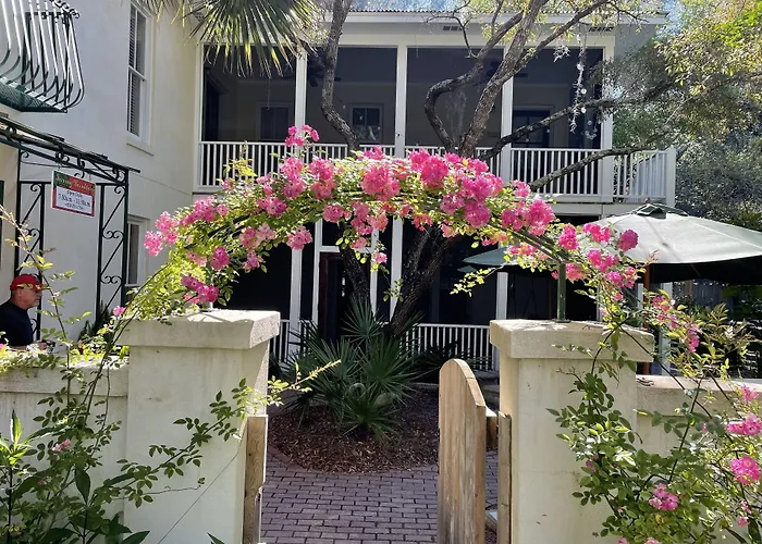 Hibiscus Coffee & Guesthouse