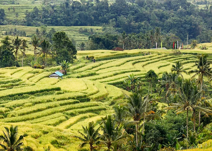 The Seminyak Beach Resort & Spa