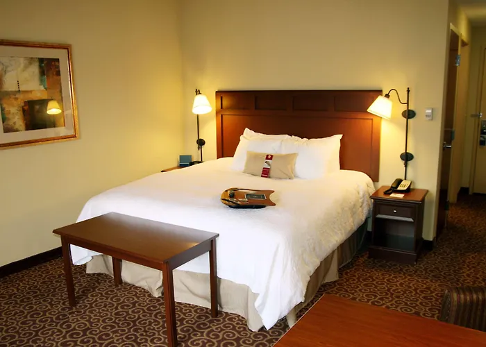 Hampton Inn & Suites Murray