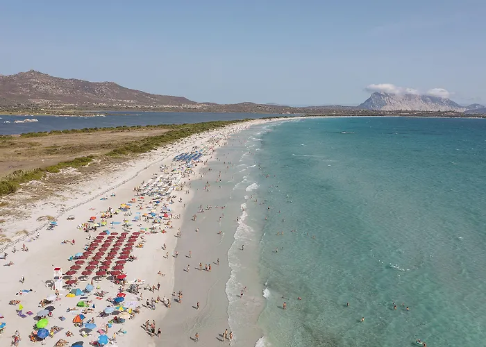 Hotel Amareclub Le Rose San Teodoro 