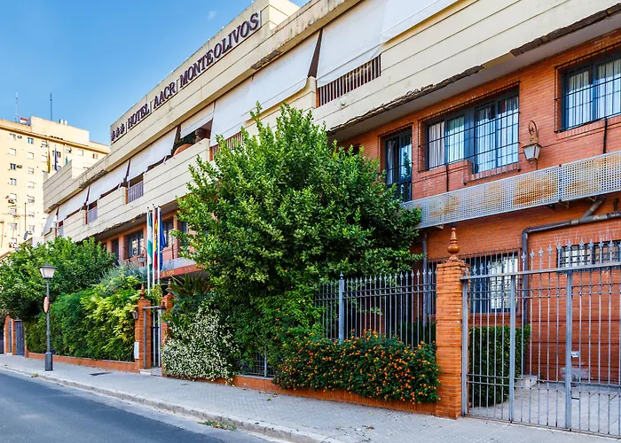 Aacr Hotel Monteolivos Sevilla
