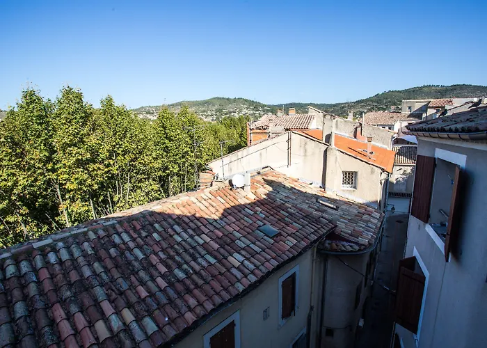 Logis Hotel Du Terreau