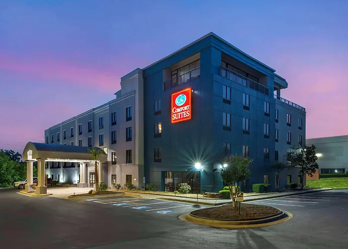 Comfort Suites Atlanta Airport Forest Park