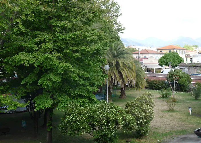 Hotel Daisy Marina di Massa