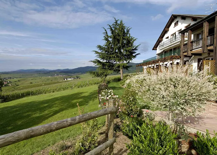 Le Clos Saint-Vincent