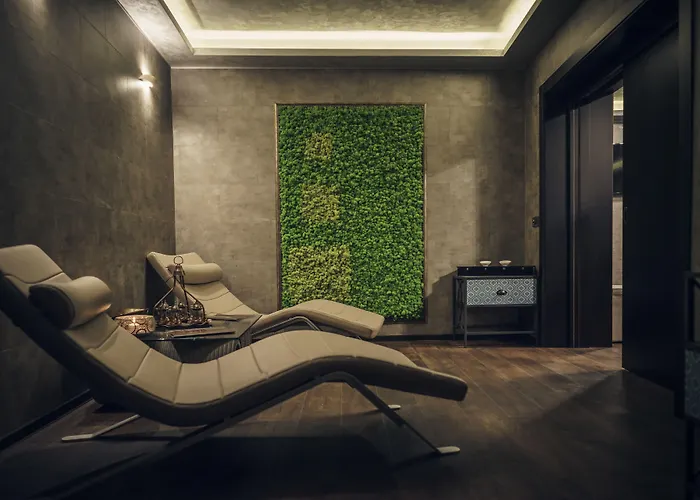 Vega Hotel Mamaia