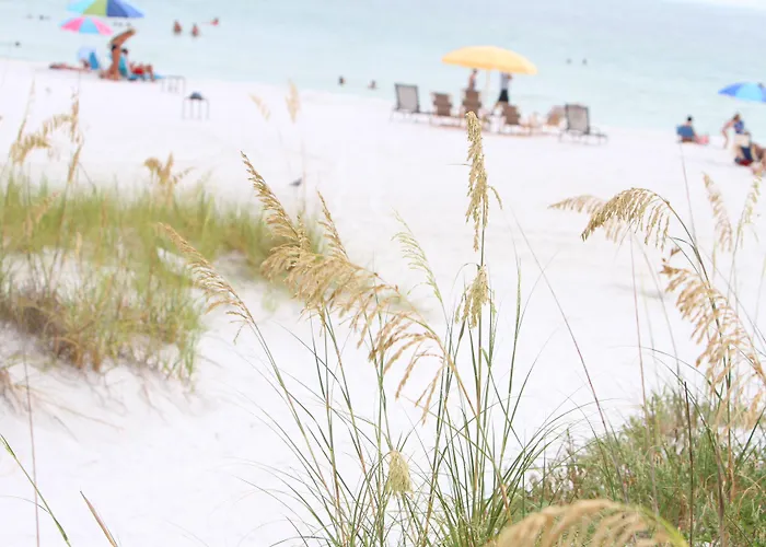 Beach Club At Siesta Key By Rva